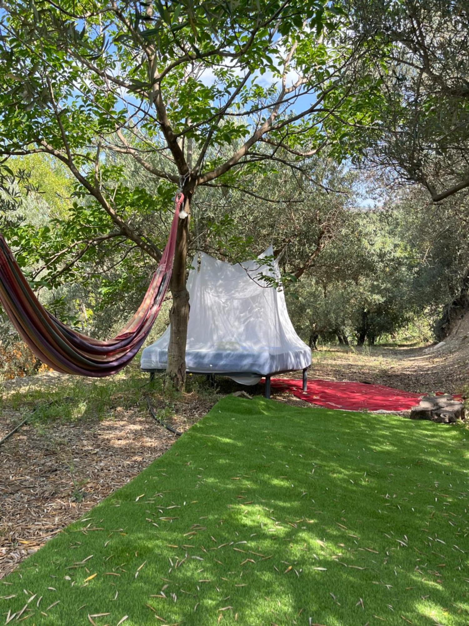 Cortijo Alhijra Big Yourte Lanjaron Exterior photo
