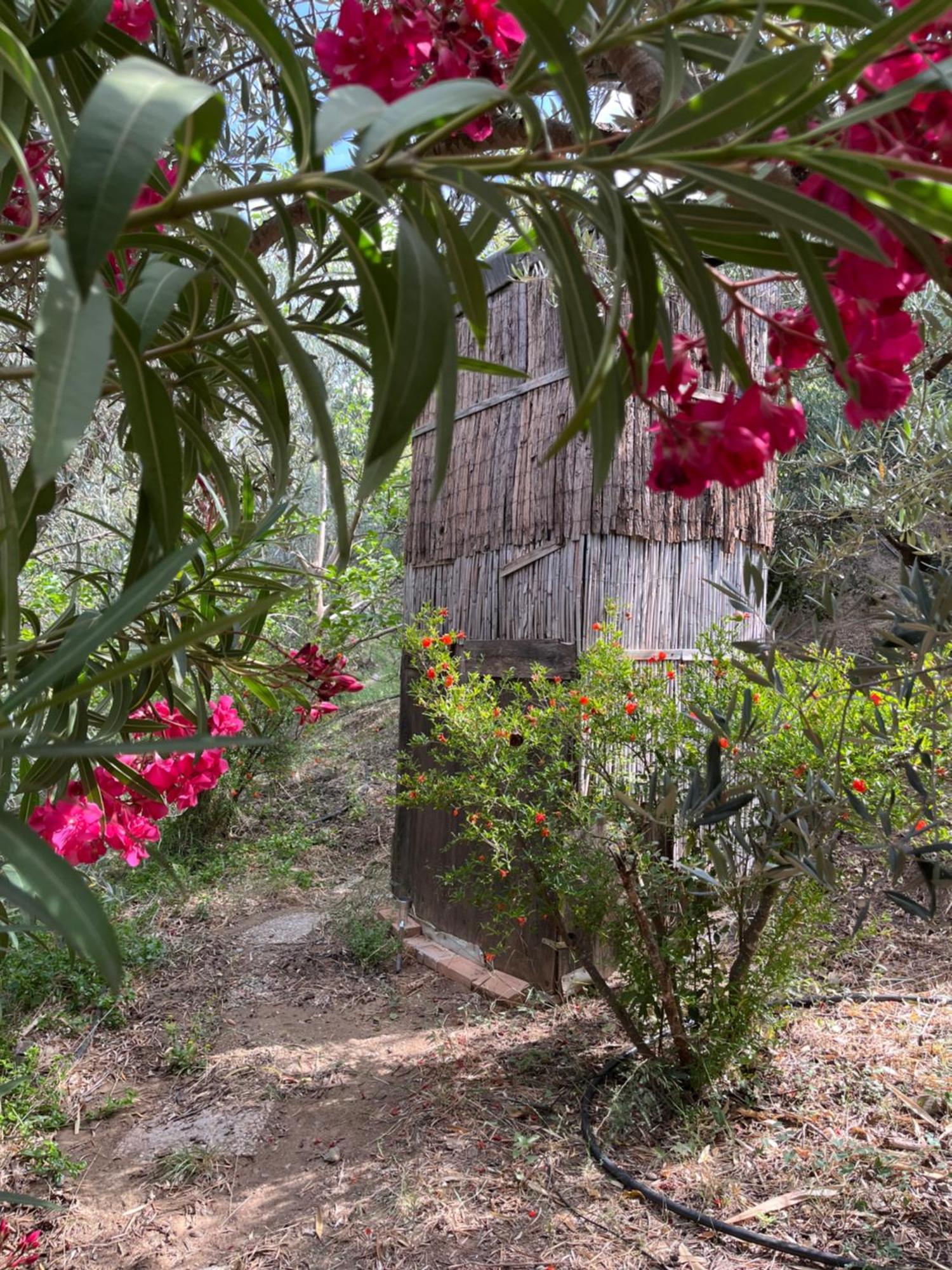 Cortijo Alhijra Big Yourte Lanjaron Exterior photo